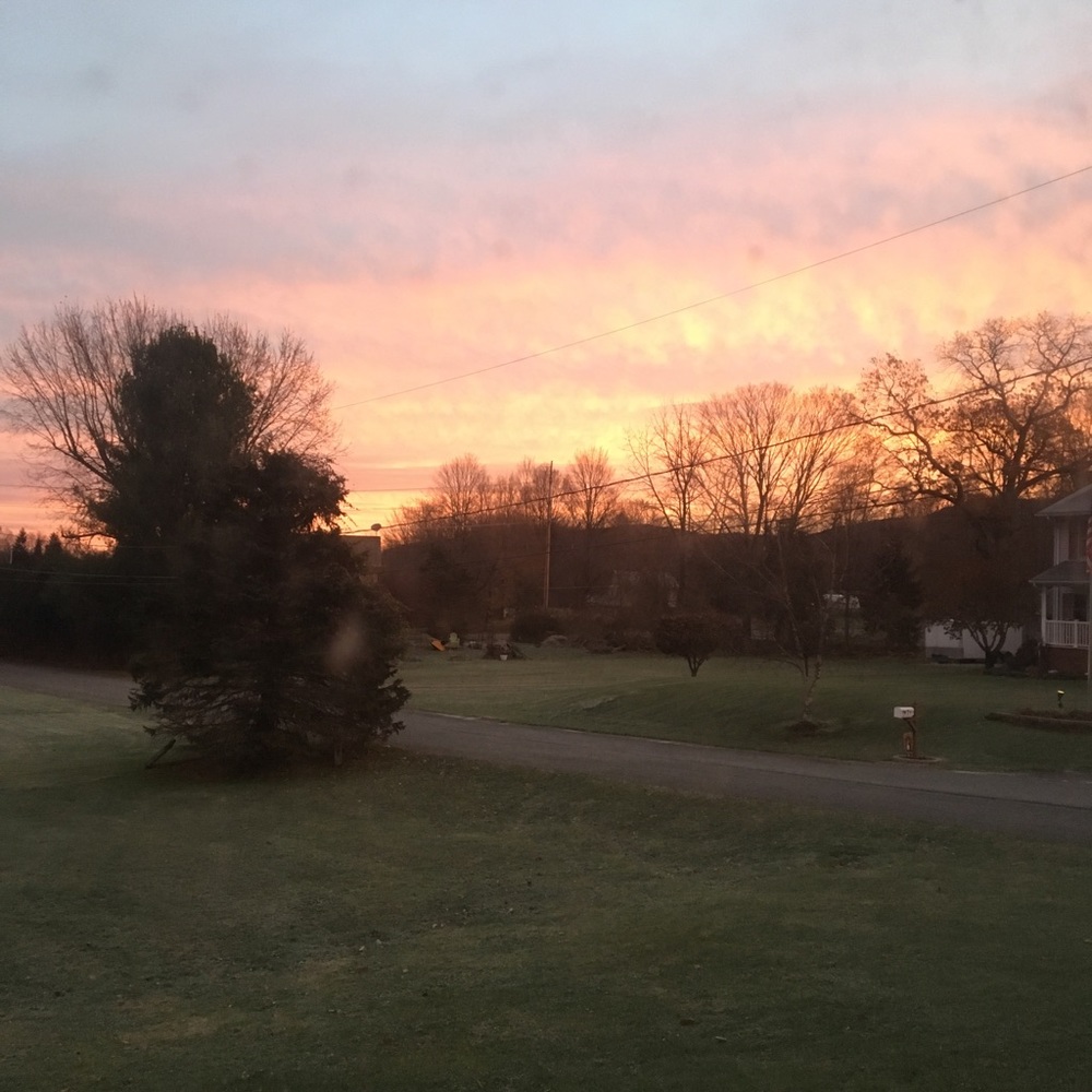 Meet your Posher, Patricia